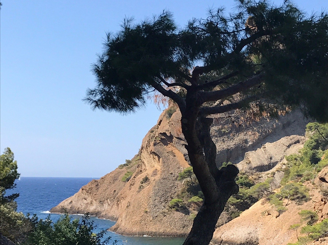 La Calanque de Figuerolles-拉西奥塔必去景点