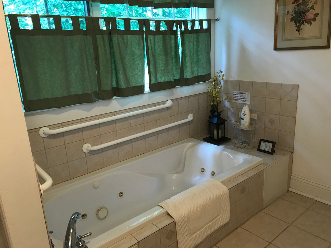 Alpine Haus Bed and Breakfast Inn主图