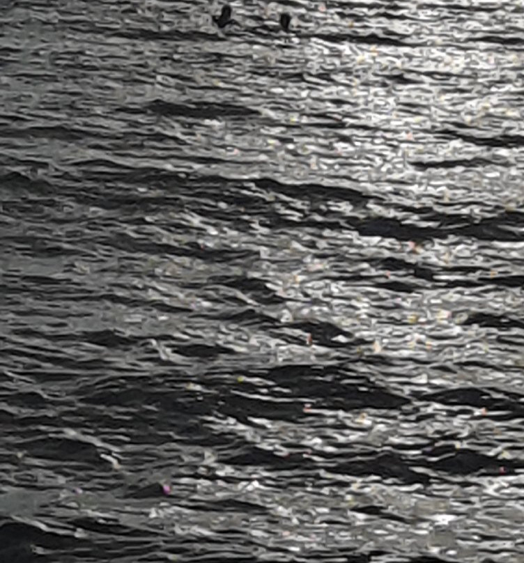 Agriturismo Baratz主图