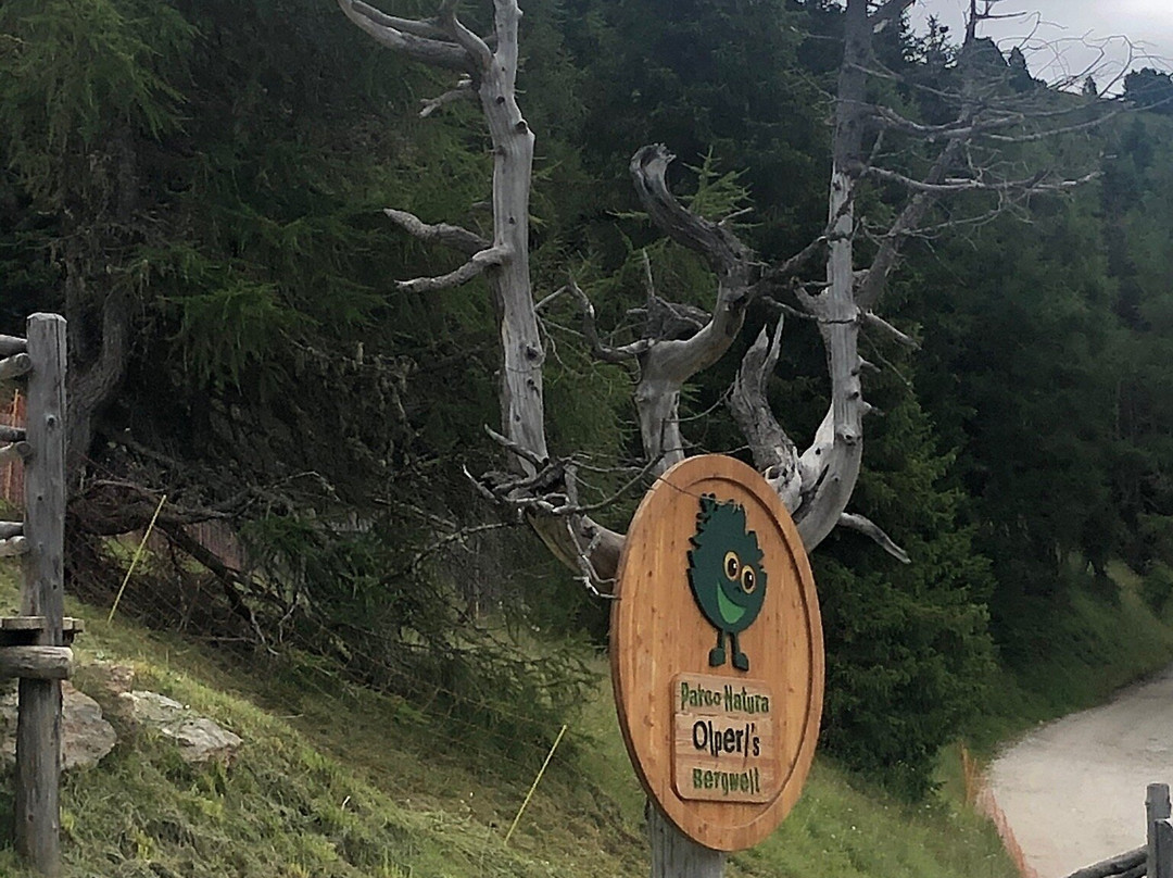 Parco Natura Olperl景点图片