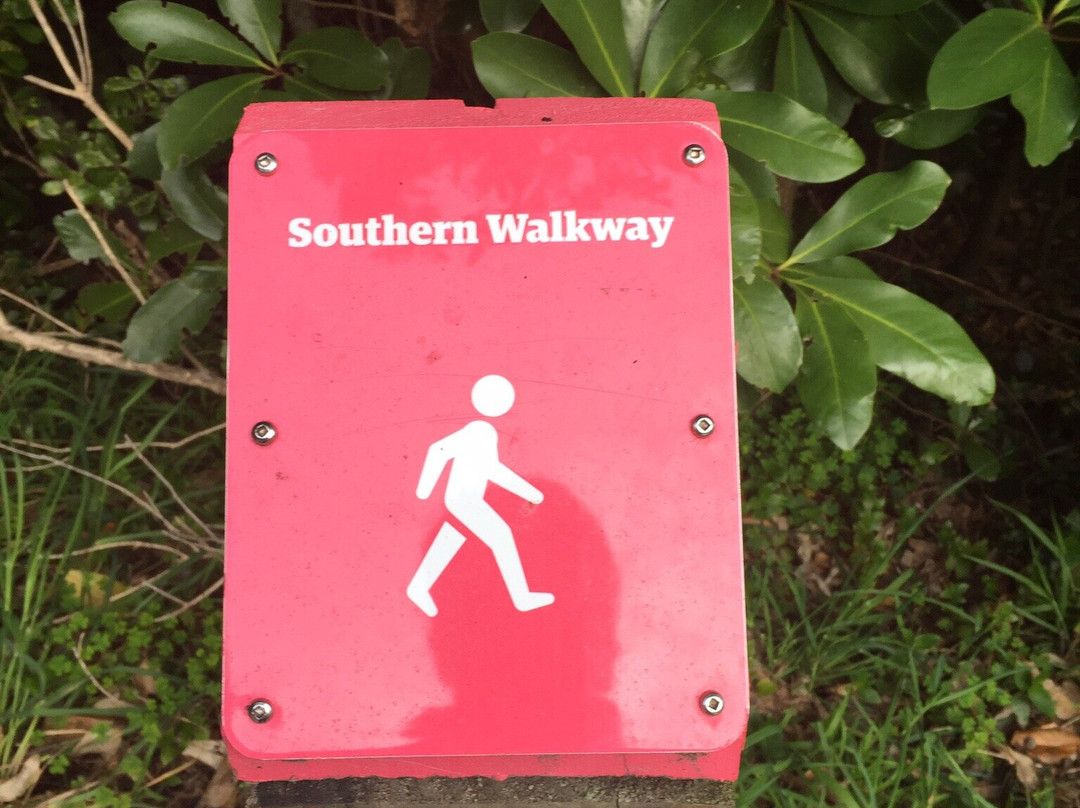 Southern Walkway-惠灵顿必去景点