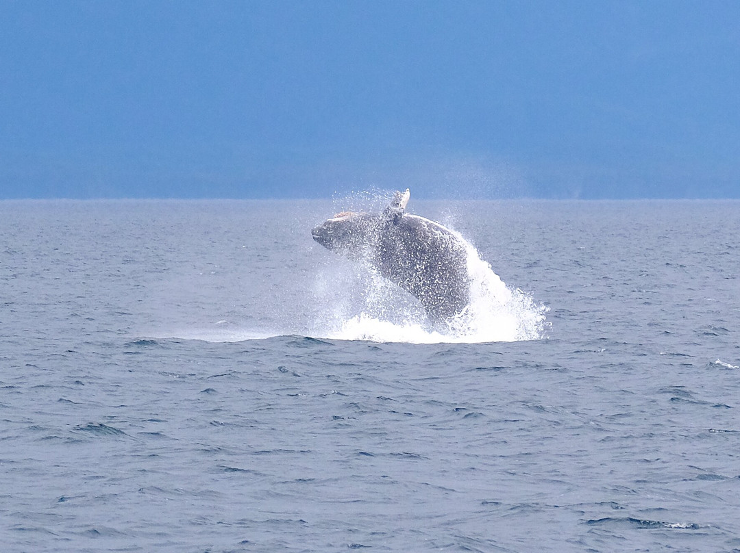 Discovery Journeys-朱诺必去景点