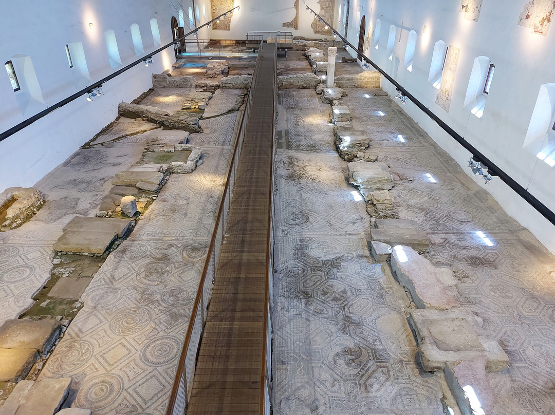 Museo Nazionale Paleocristiano景点图片