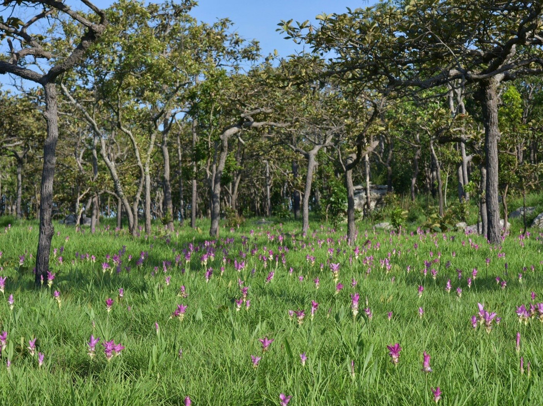 Pa Hin Ngam National Park景点图片