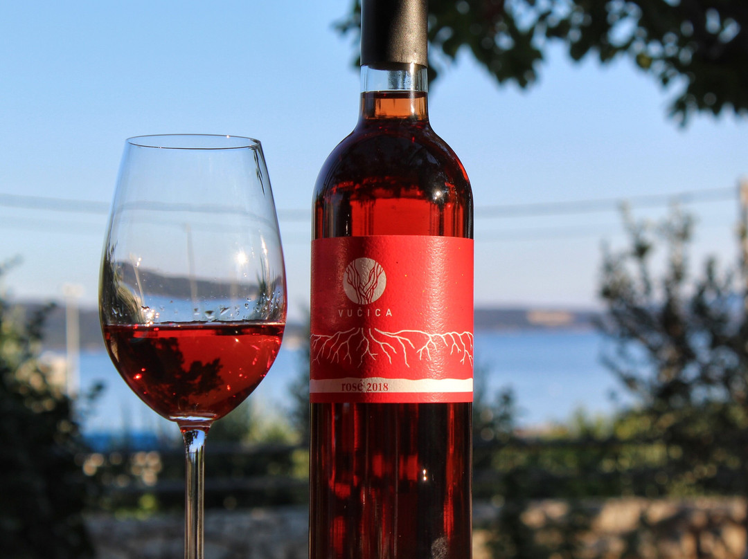 Winery Vucica - Wine tasting景点图片