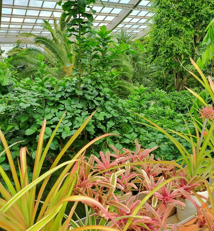 Tropical Environment Greenhouse Dome景点图片