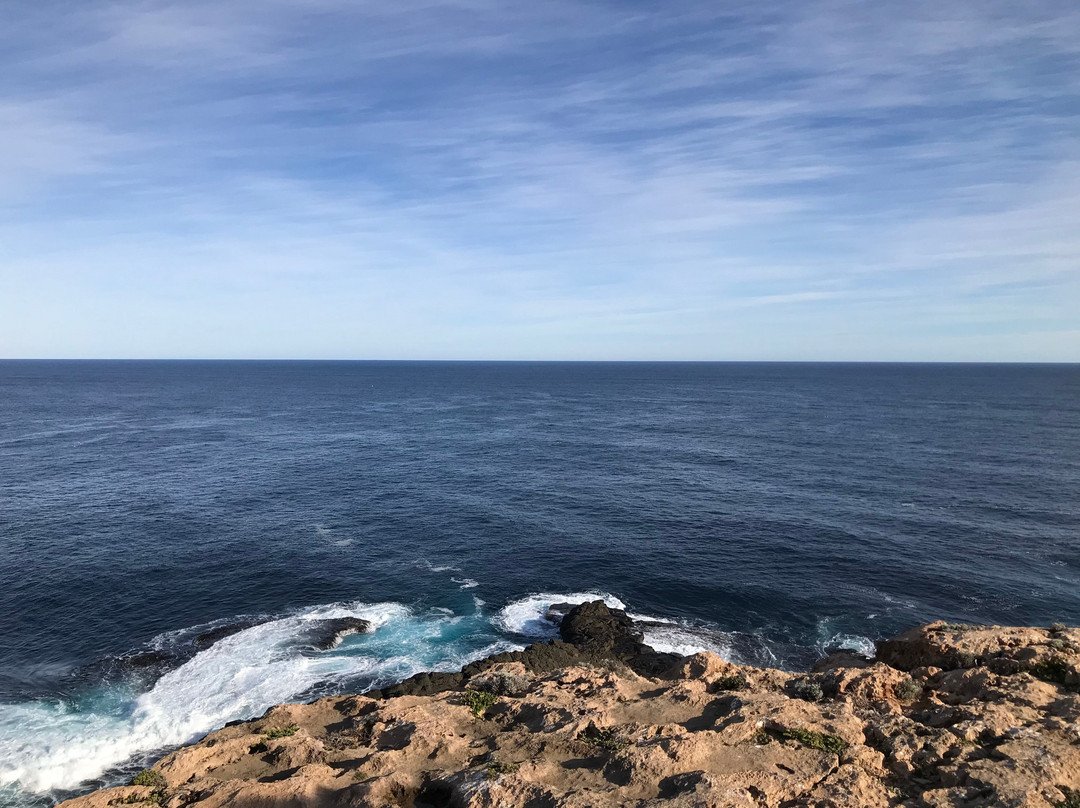 Cape Nelson State Park-波特兰必去景点