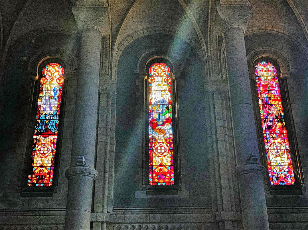 Basilique Saint Louis Marie Grignion de Montfort景点图片