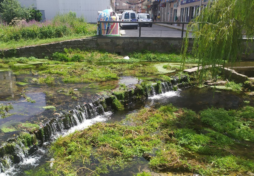Carballeira de Caldas de Reis景点图片