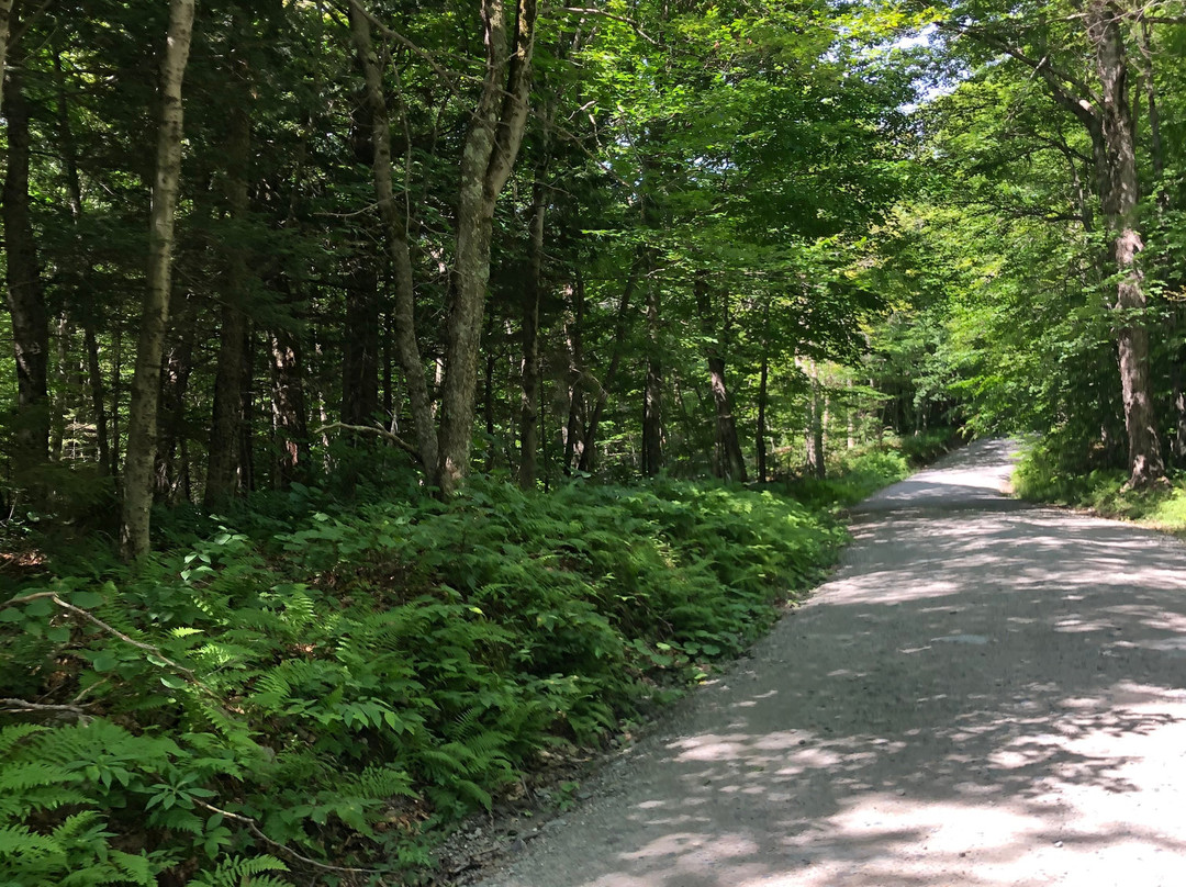 Stowe Mountain Auto Toll Road-斯托必去景点