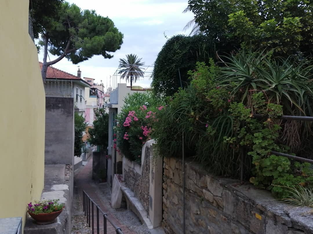 Bordighera Alta-博尔迪盖拉必去景点