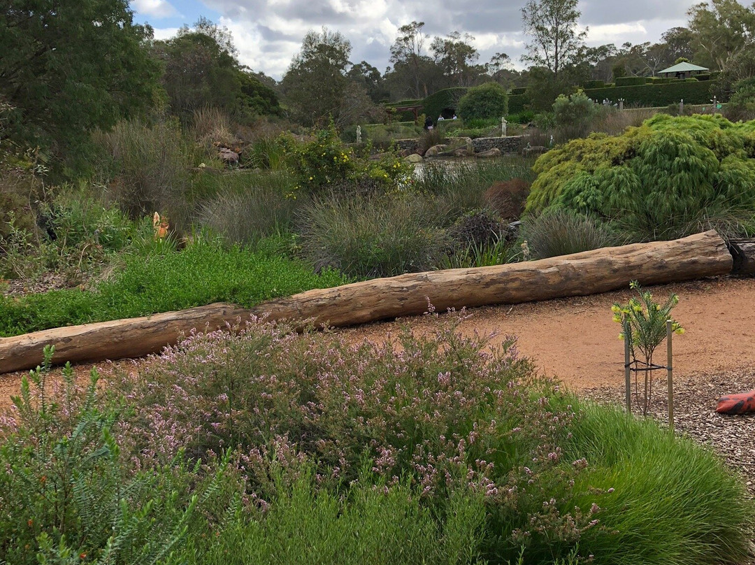 Boranup Forest Maze景点图片