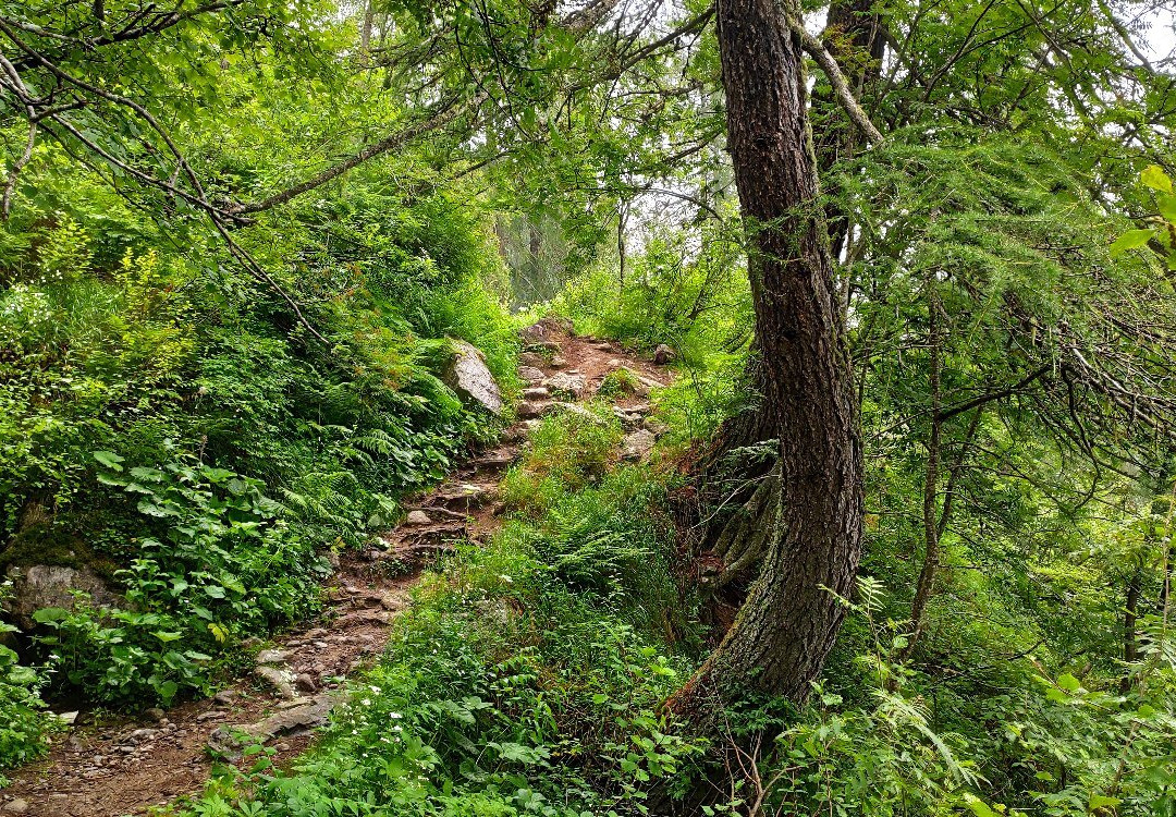 Sentiero Laghi di San Giuliano景点图片