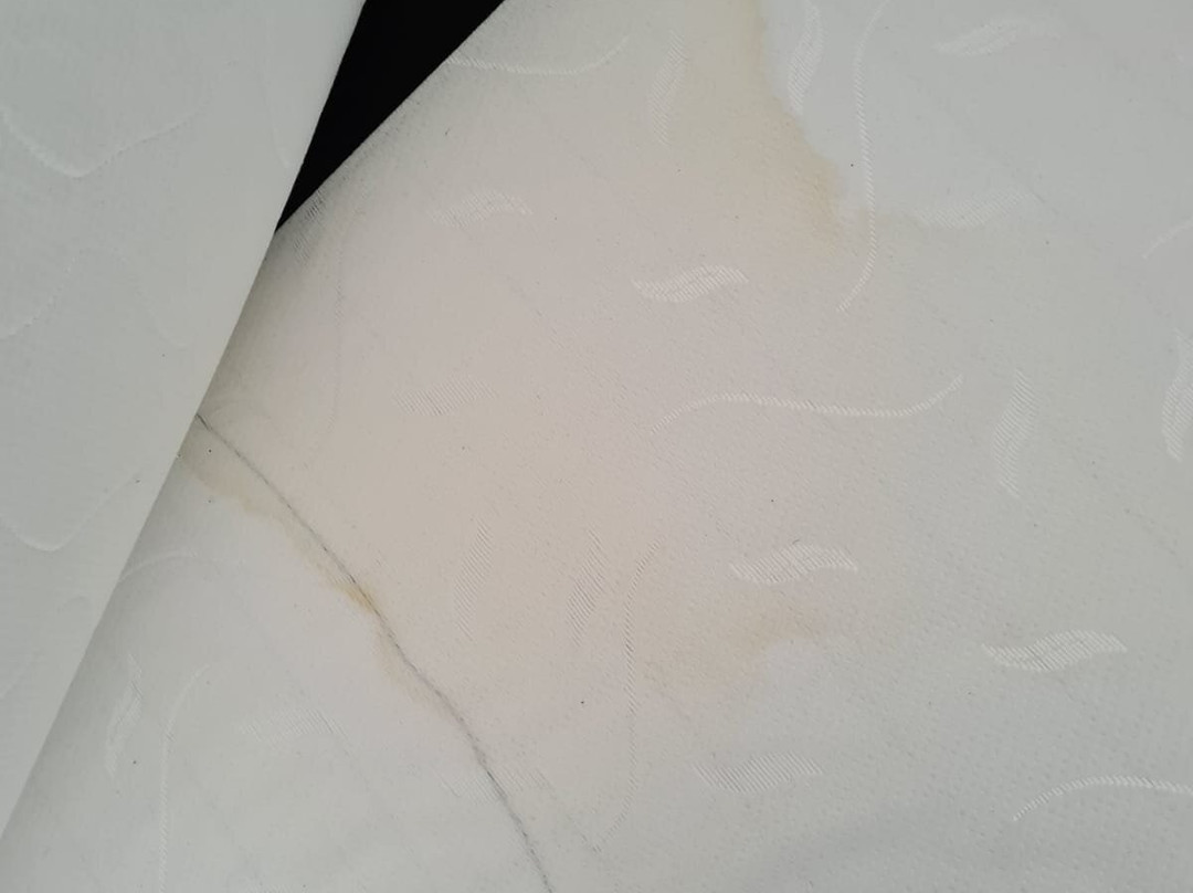 Roter Kater & Graue Katze主图