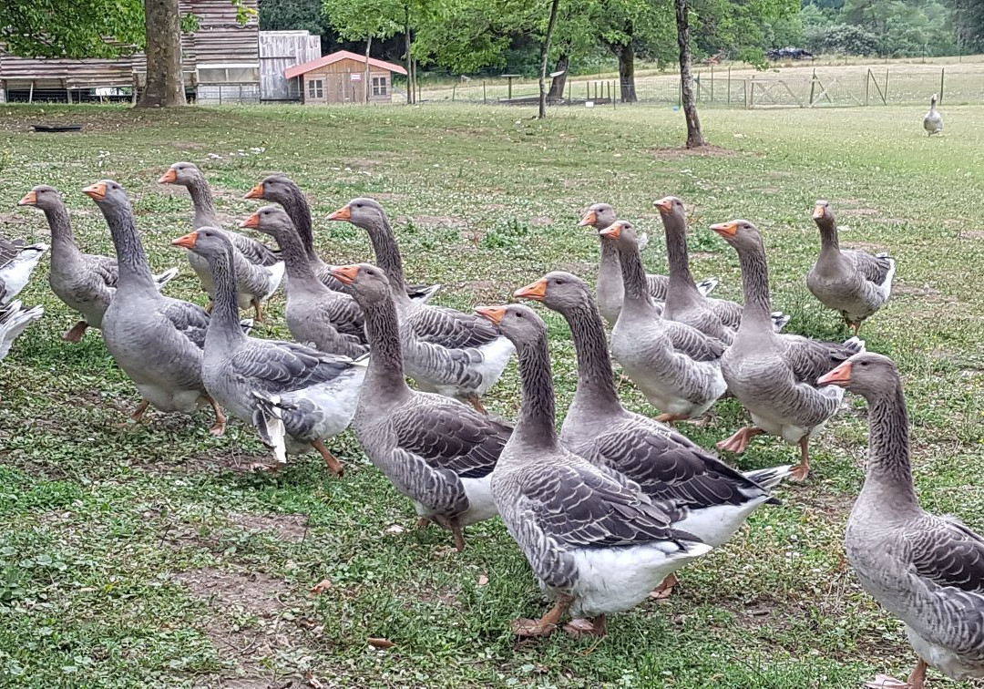 Ferme du Brusquand-Marquay必去景点