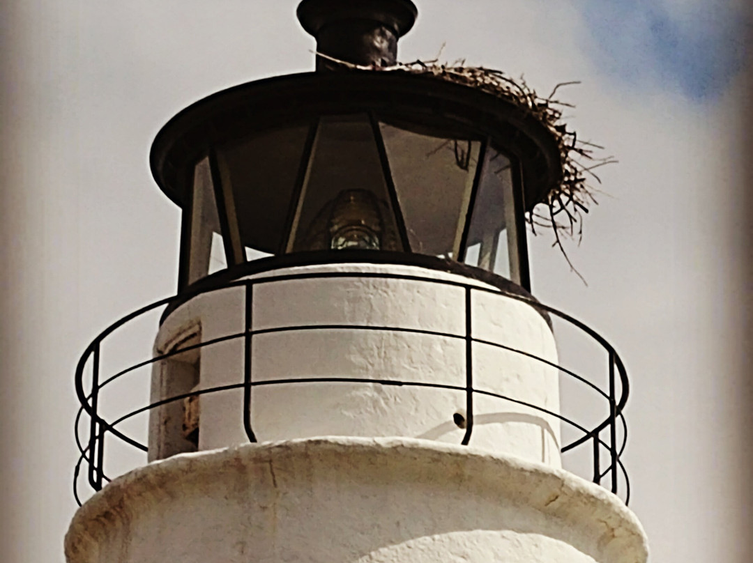 Cove Point Lighthouse景点图片