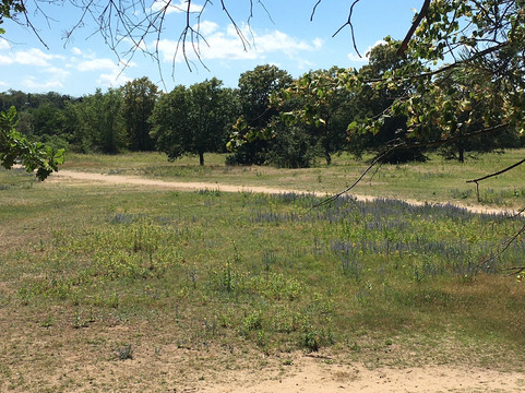 Lincoln Wall-达姆施塔特行政区必去景点