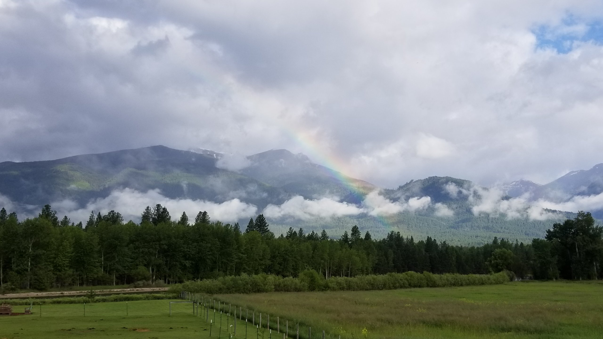 Bitterroot River Bed and Breakfast LLC-酒店景观