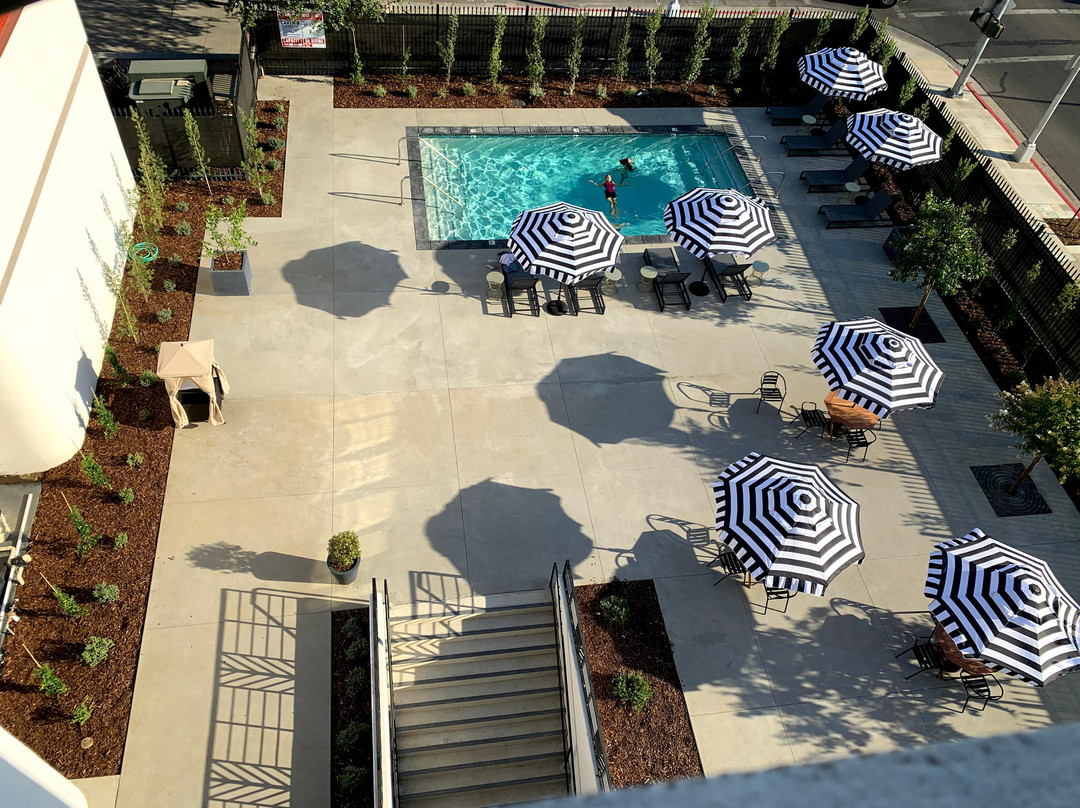 The Darling Hotel主图