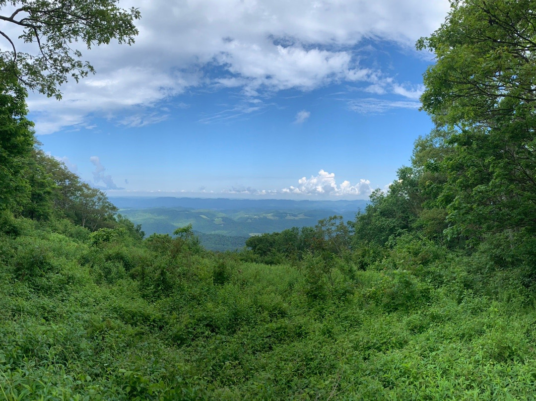 Bickel Knob Observation Tower-Elkins必去景点