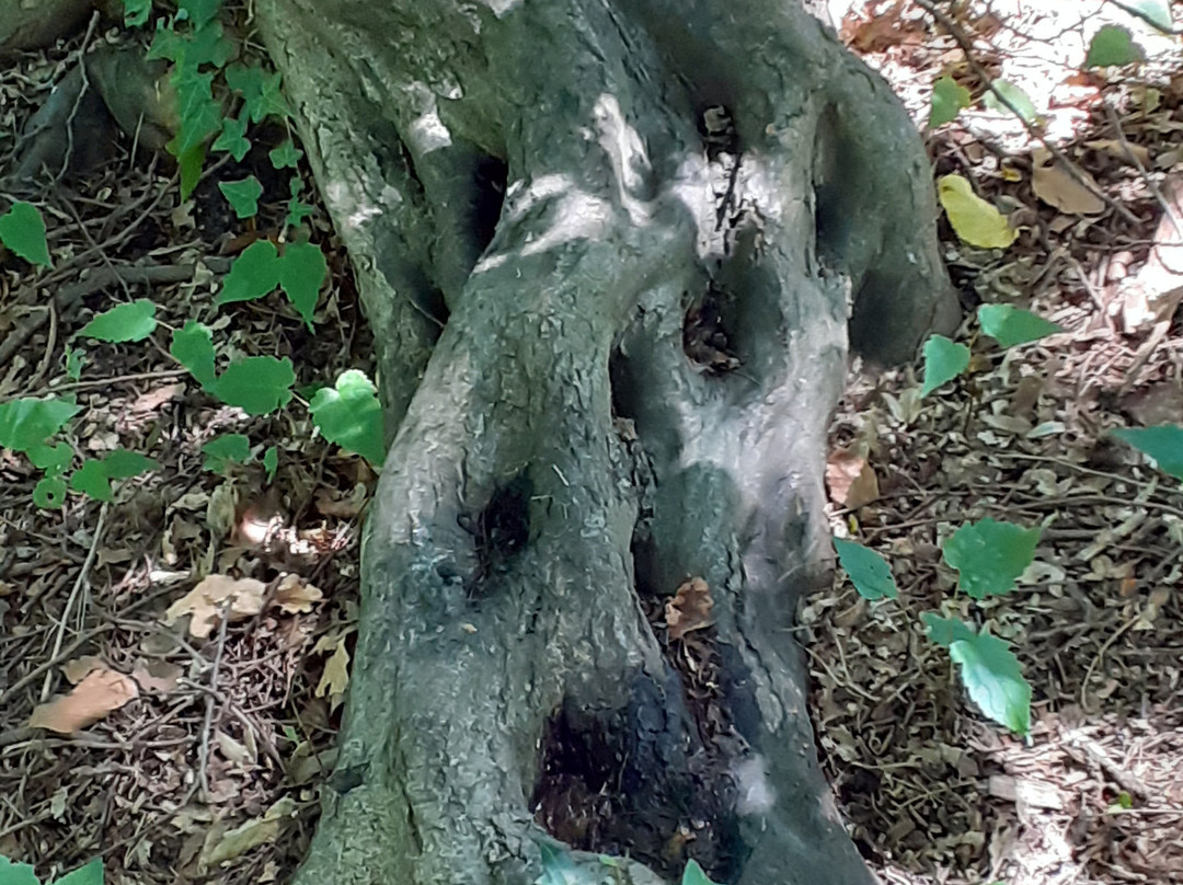 Thieles Garten-不来梅港必去景点