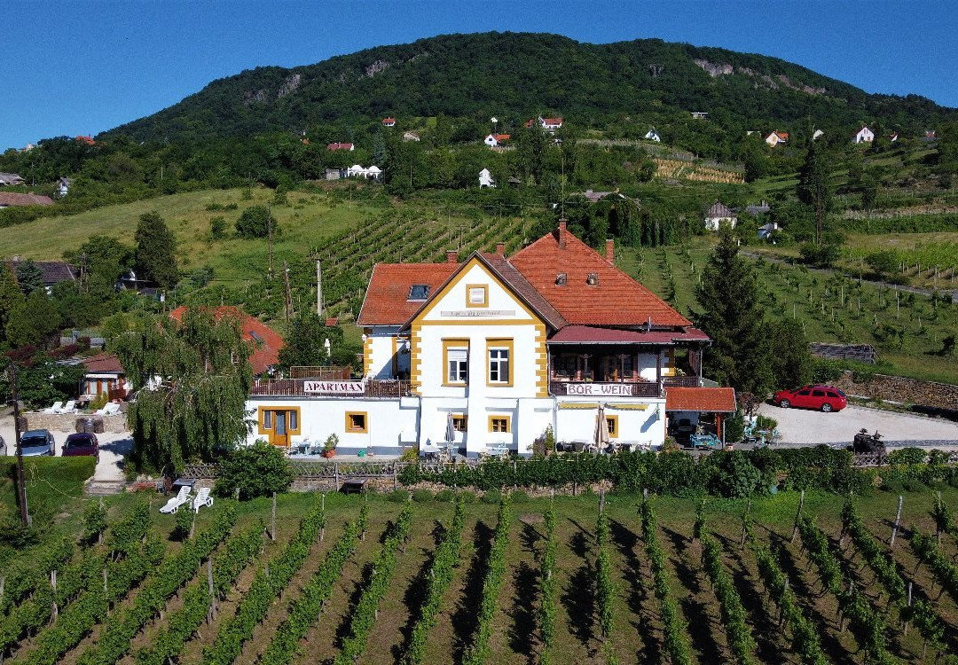 Bacchus Apartman - Borbarlang, Badacsony