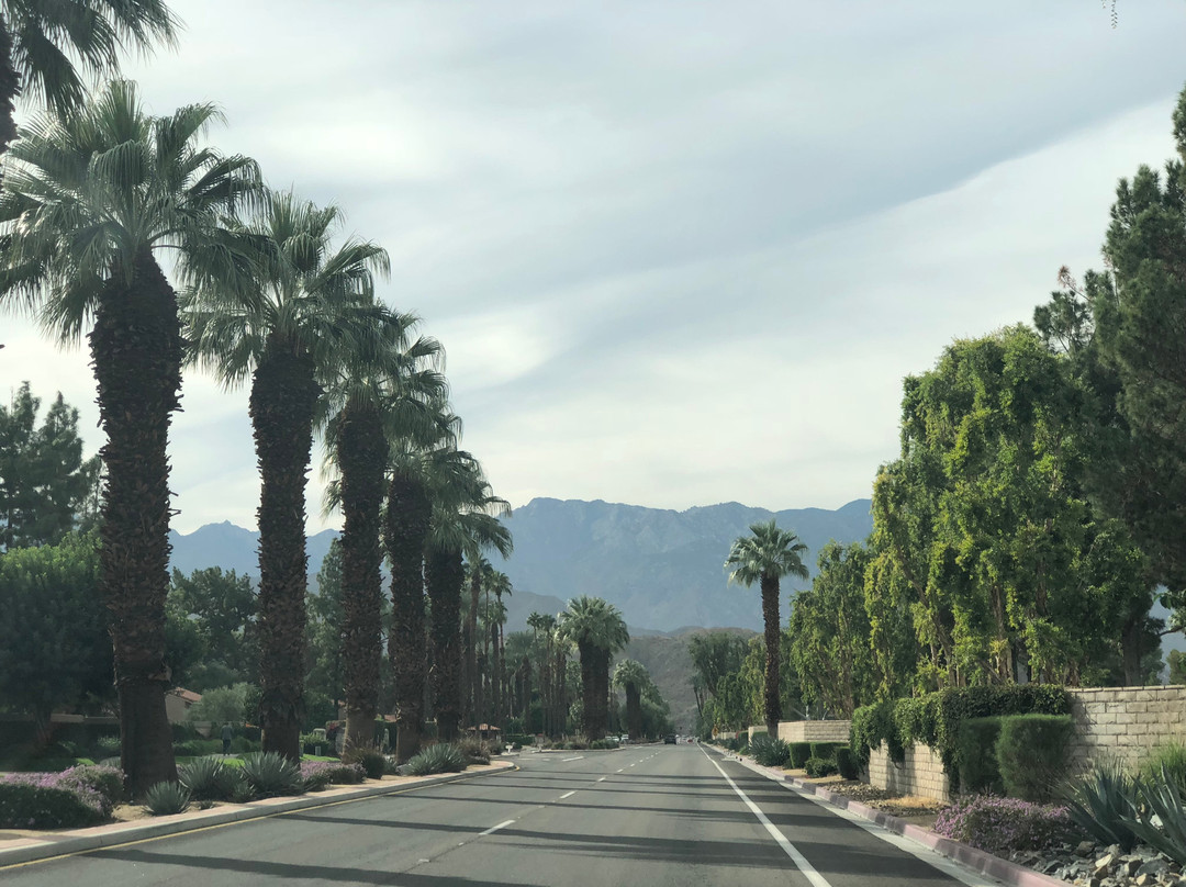 棕榈峡谷大道-棕榈泉市必去景点