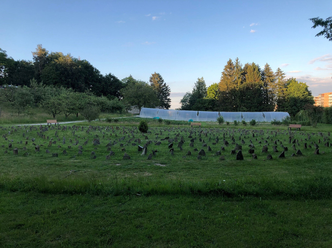 Domaine Notre Dame de la Route主图