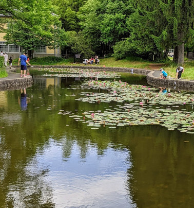 Iwate University Agricultural Education Museum-盛冈市必去景点