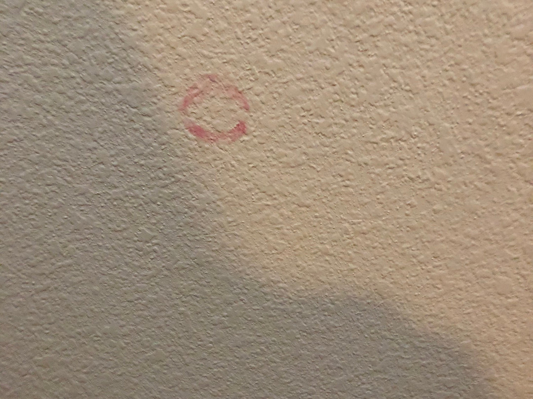 Super 8 by Wyndham Carthage TX主图