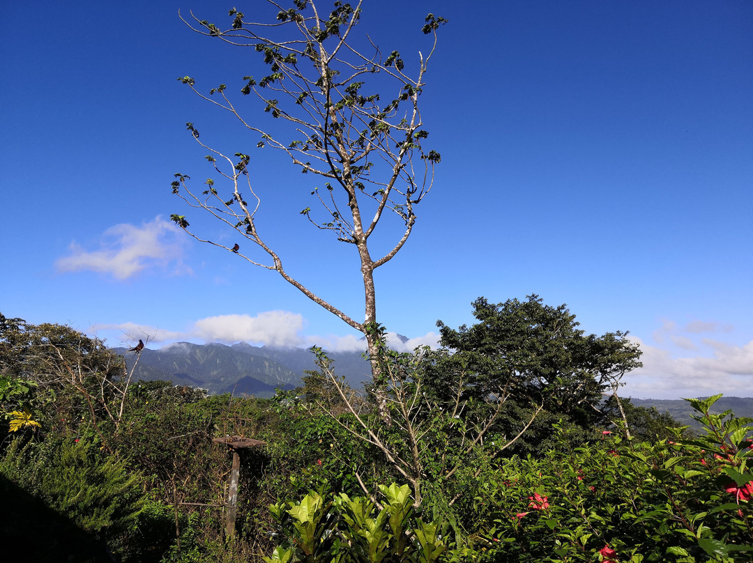 Heliconias Rainforest Lodge主图