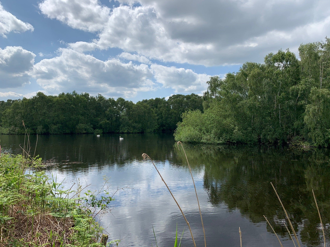 Holme Fen National Nature Reserve景点图片