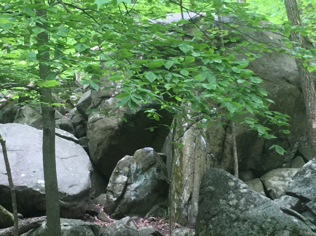Sourland Mountain Preserve景点图片