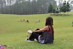 Golf Ground Ranikhet景点图片