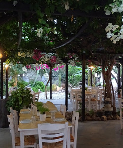 Ithaki Garden餐廳圖片