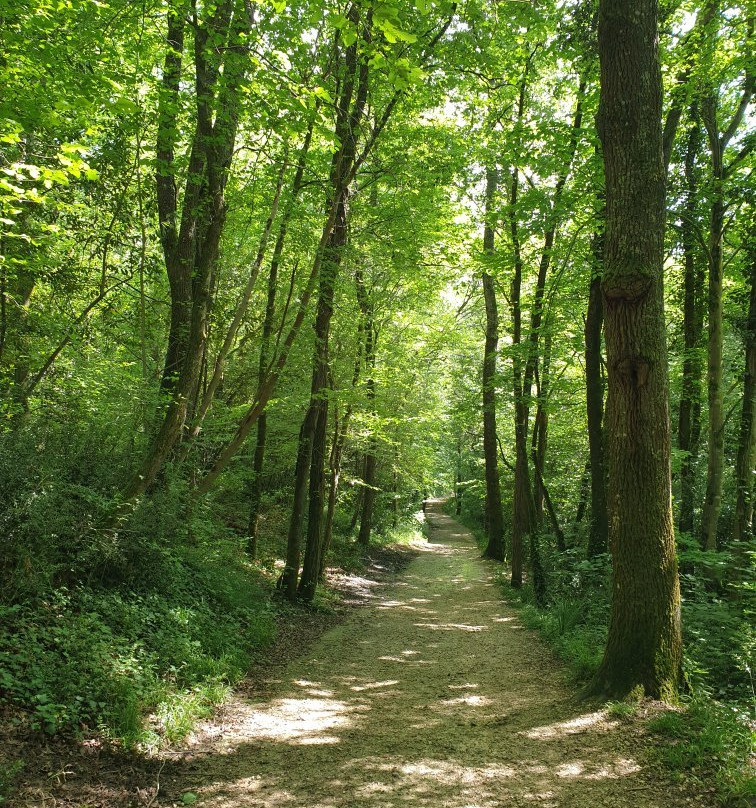 Domaine de la Burthe-Floirac必去景点