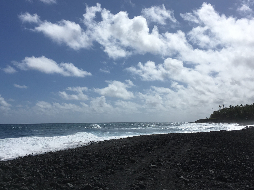 Isaac Hale Beach Park景点图片