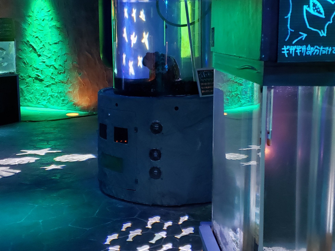 鄂霍茨克塔-纹别市必去景点