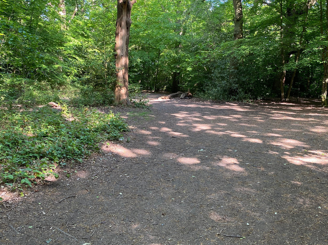 Queen's Wood-Crouch End必去景点