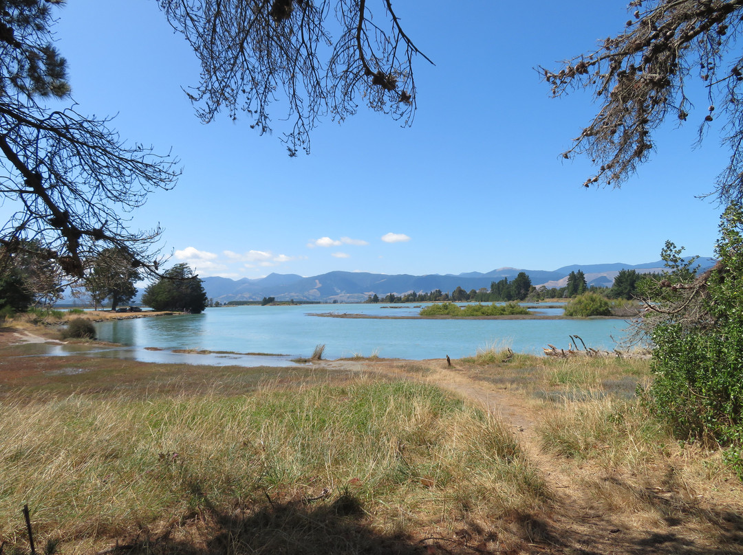 Moturoa / Rabbit Island景点图片