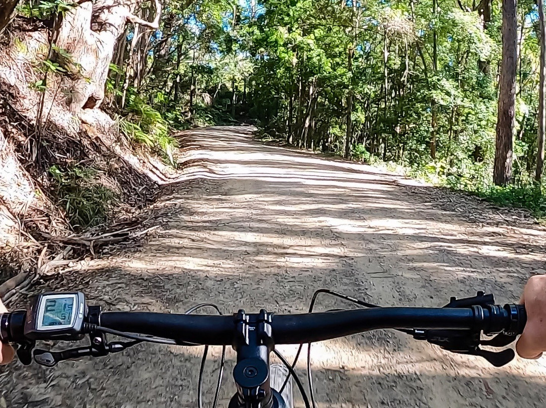 Beyond Byron E Bike Tours - Mullumbimby景点图片