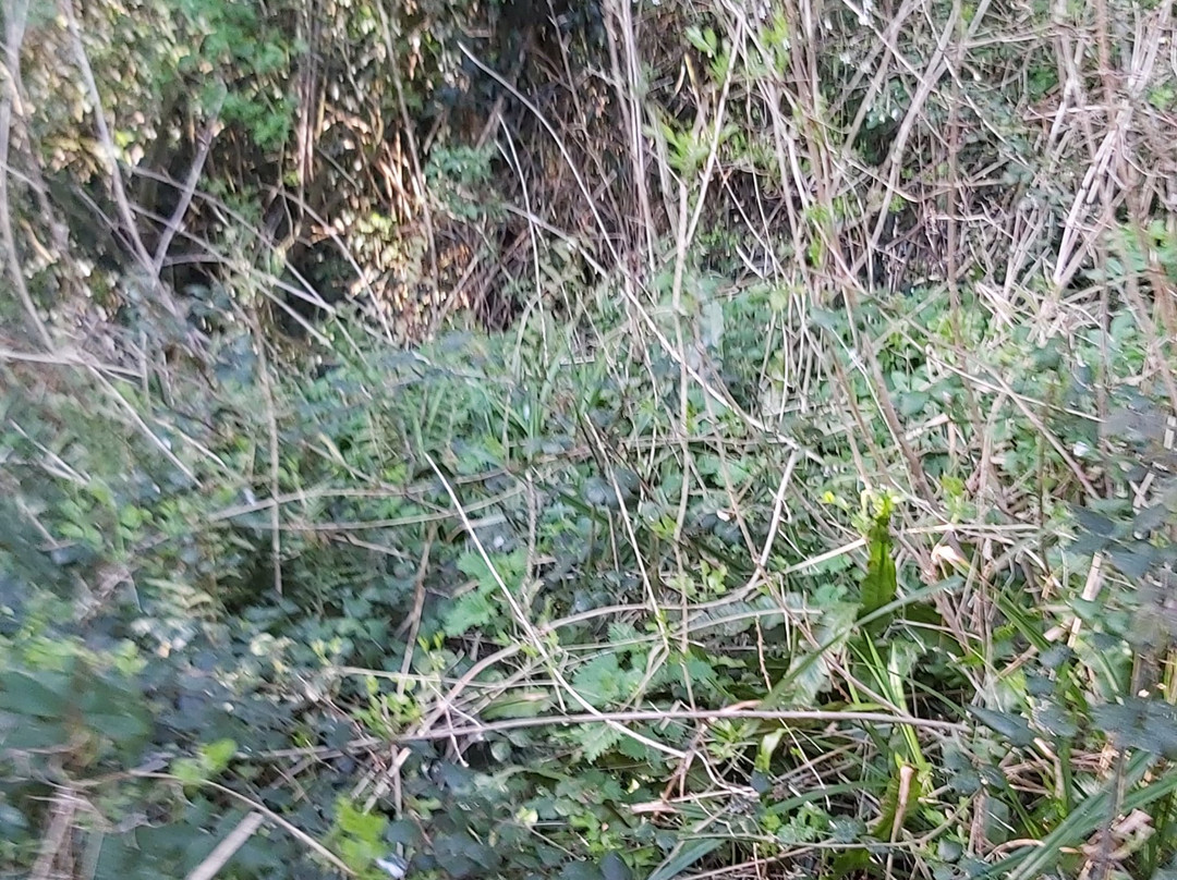 South West Coastal Path-Seaton必去景点