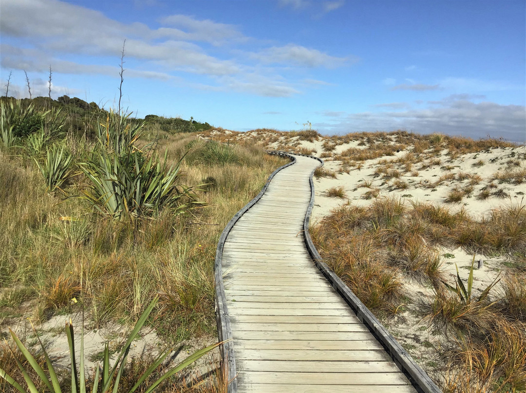 Haast Beach景点图片