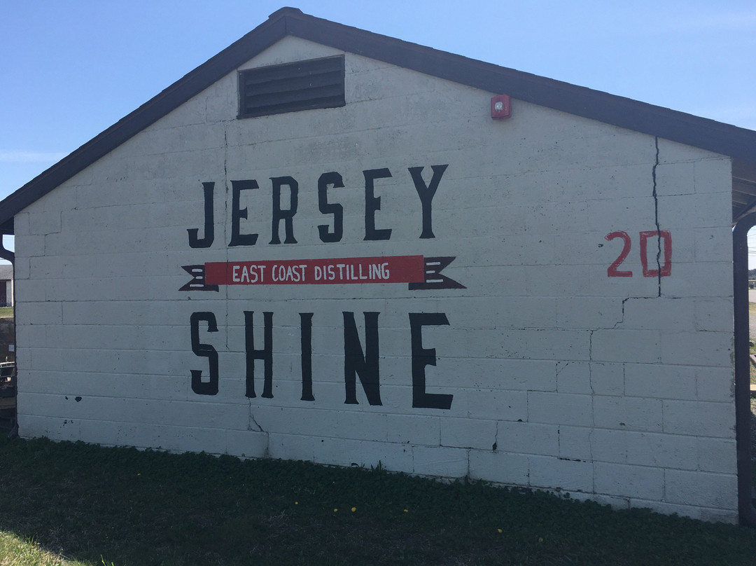 Jersey Shine景点图片