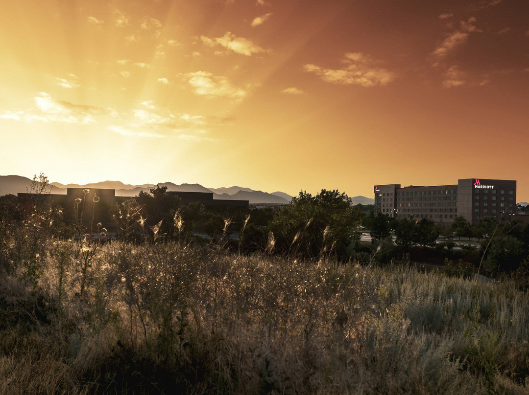 Denver Marriott Westminster主图