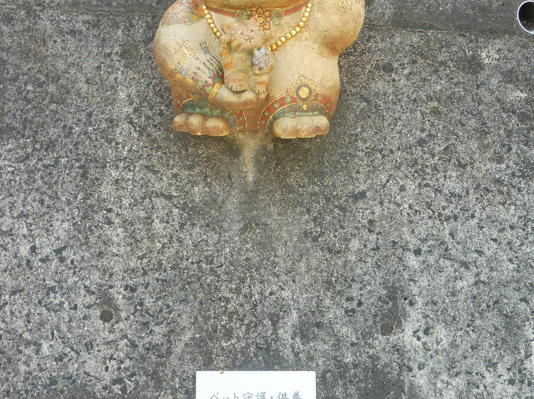 Tokoname Manekineko Street-常滑市必去景点