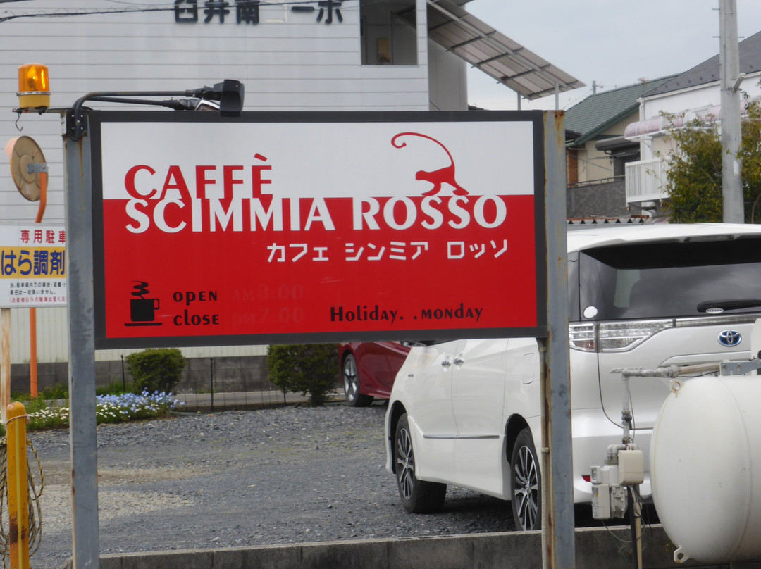 Caffe Scimmia Rosso