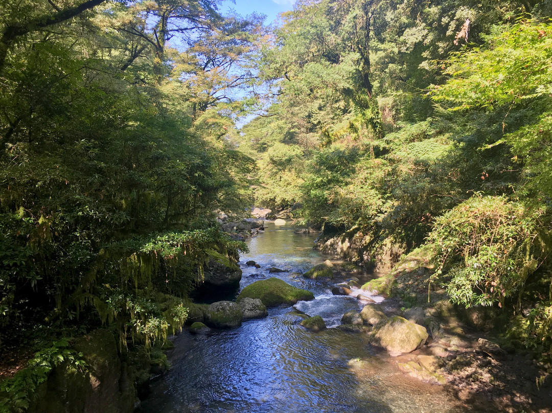 Kikuchi Gorge景点图片