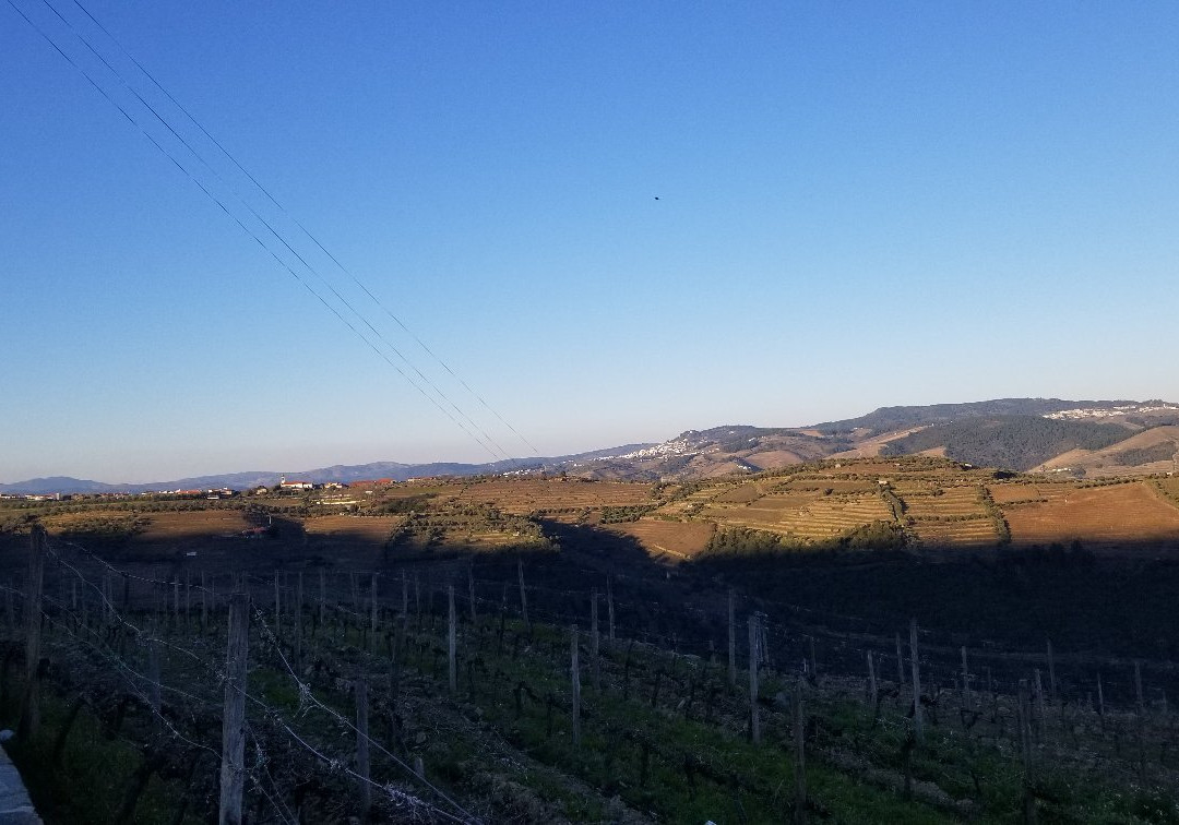 Quinta do Beijo景点图片