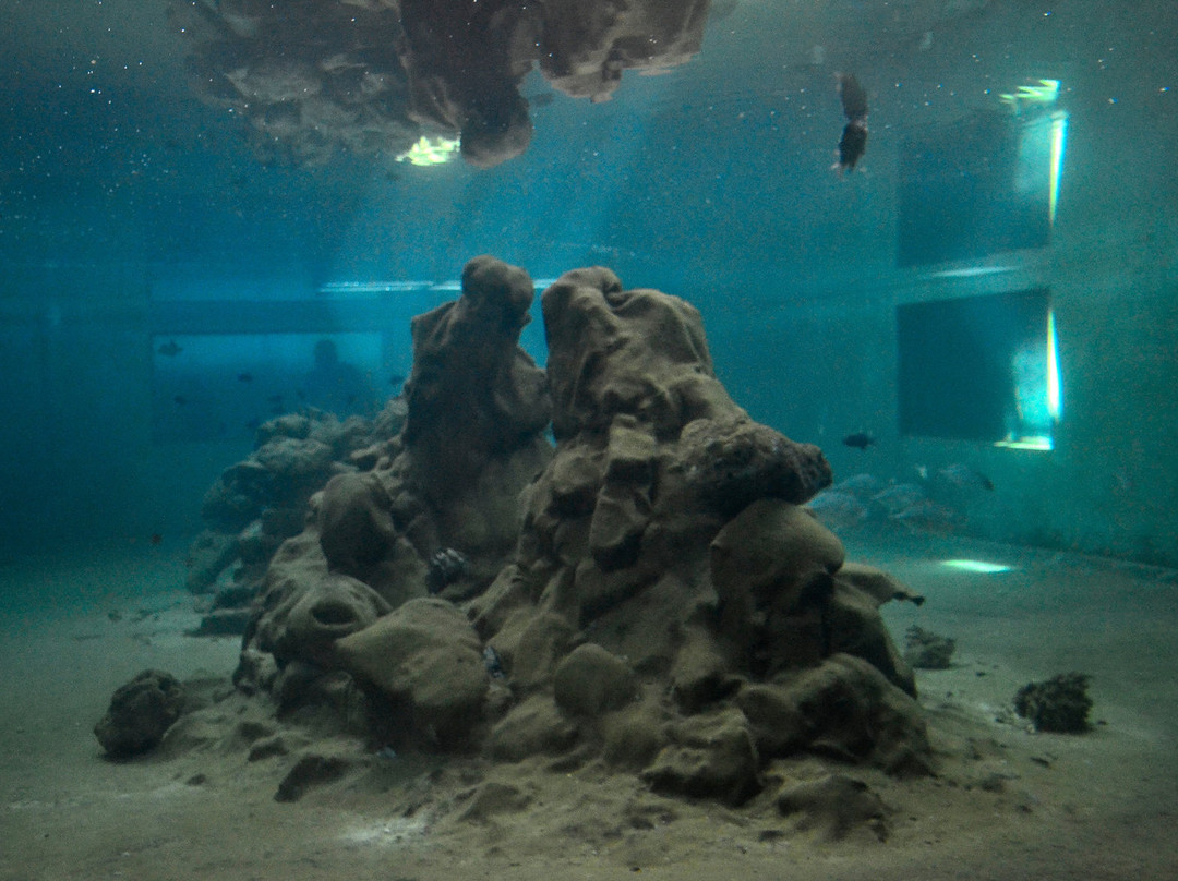 Kavaratti Island Marine Aquarium-Kavaratti Island必去景点